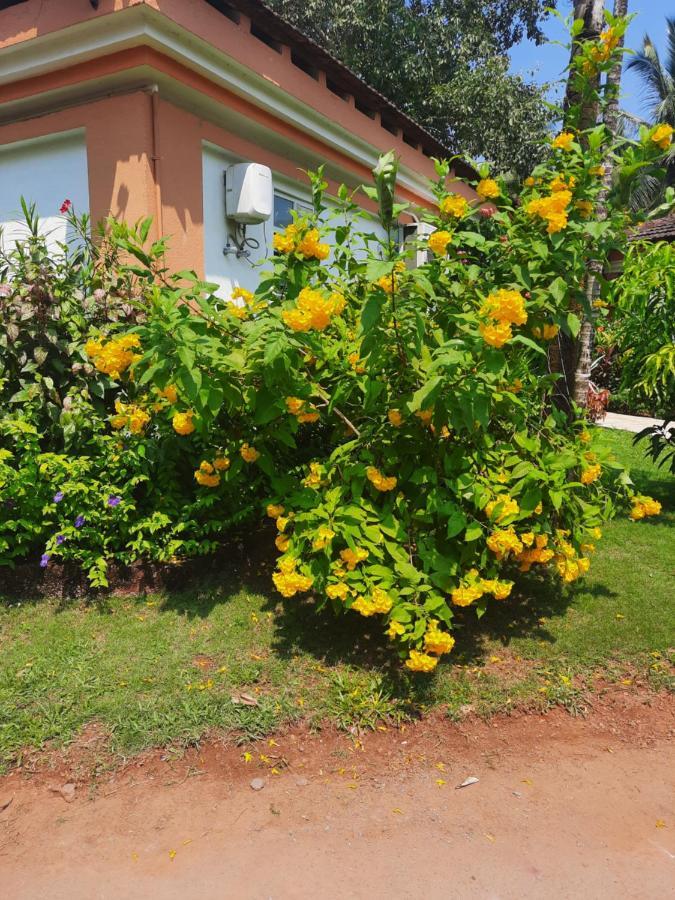 Villa Sunflower Cavelossim Zewnętrze zdjęcie